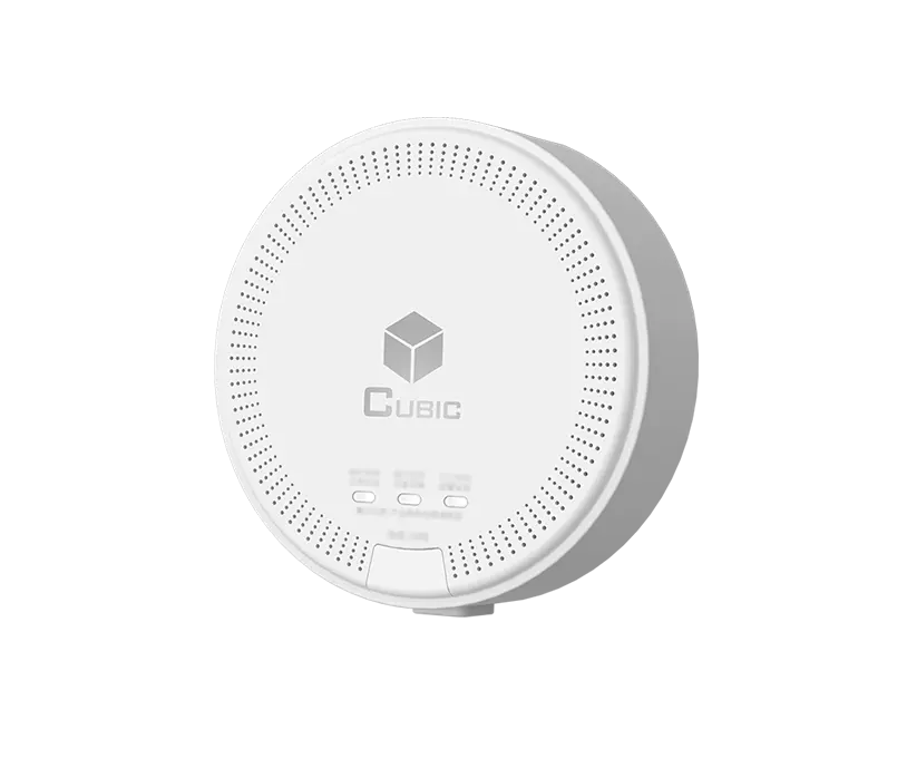 Rilevatore di Gas naturale CH4 AM5301