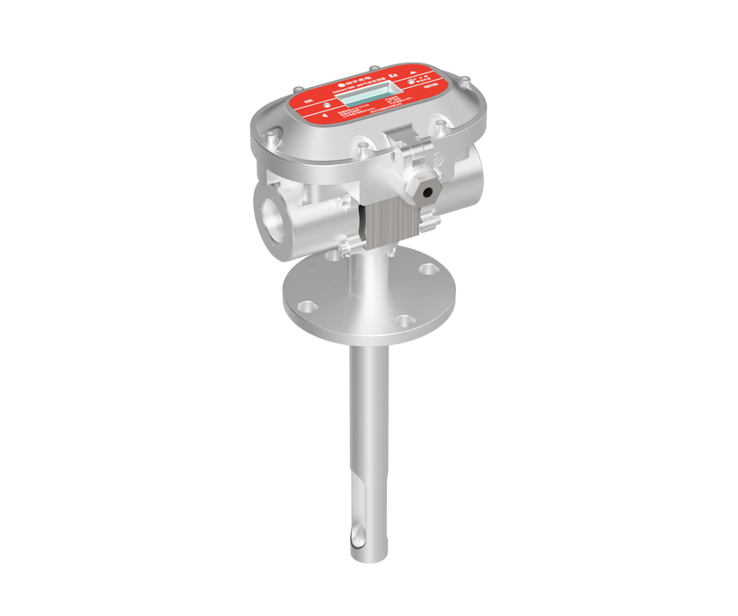 Rilevatore di Gas NMP