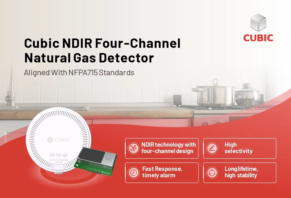Soluzione di allarme di sicurezza per Gas naturale cubico allineata agli standard NFPA 715