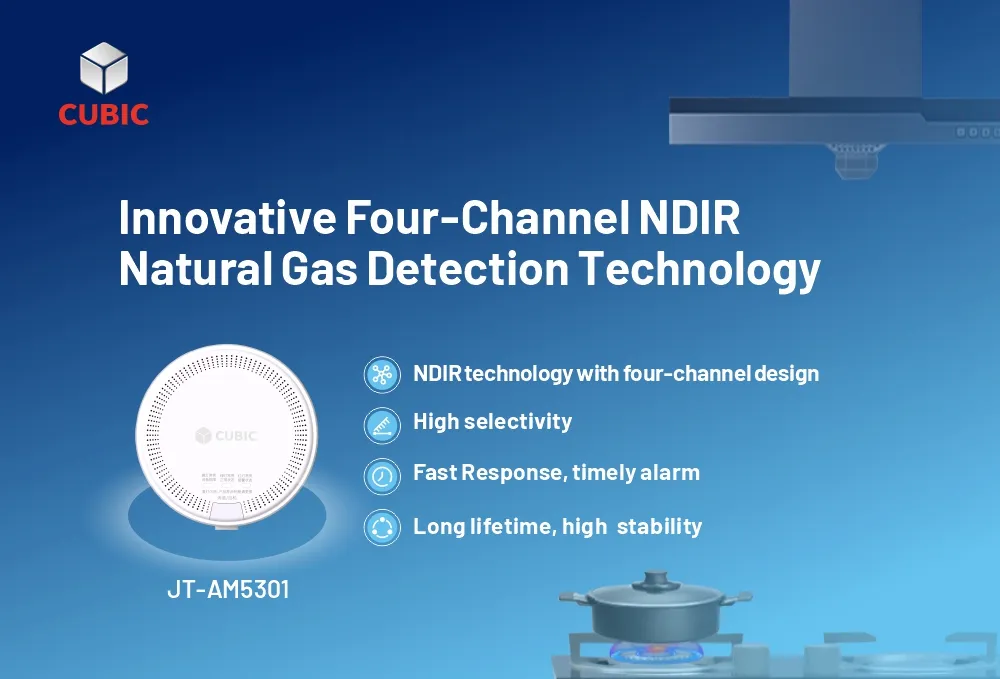 Soluzioni Innovative di rilevamento del Gas naturale NDIR cubico per applicazioni residenziali e commerciali